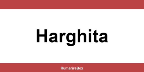 Contact depozit Sameday Harghita