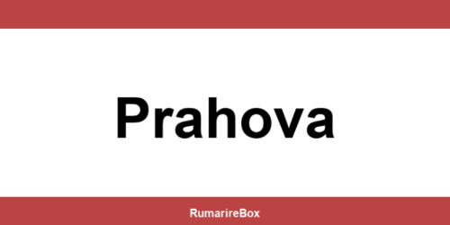 Contact depozit Sameday Prahova