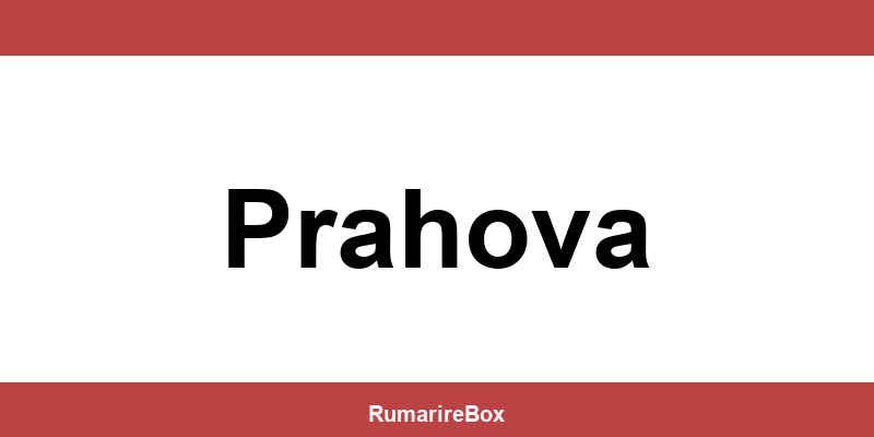 Contact depozit Sameday Prahova