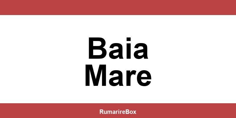 Contact depozit Sameday Baia Mare